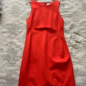 Aritzia Babaton dress